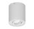 Lampa sufitowa Carolin DLR GU10, 35W/biała