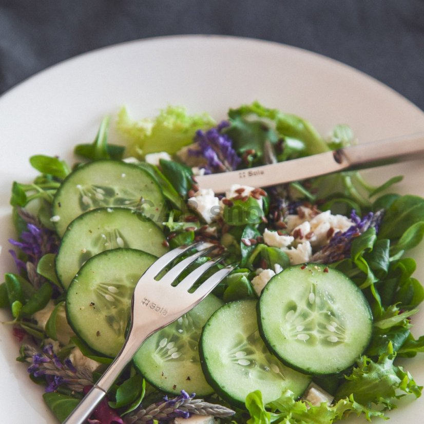 SOLA Avantgarde - 24-delni set jedilnega pribora