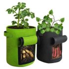 Flower pots