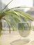 Double-walled thermos cup 150ml - transparent black