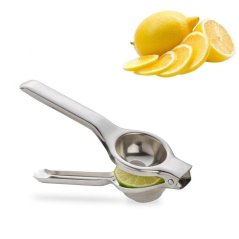 Lis na citrusy