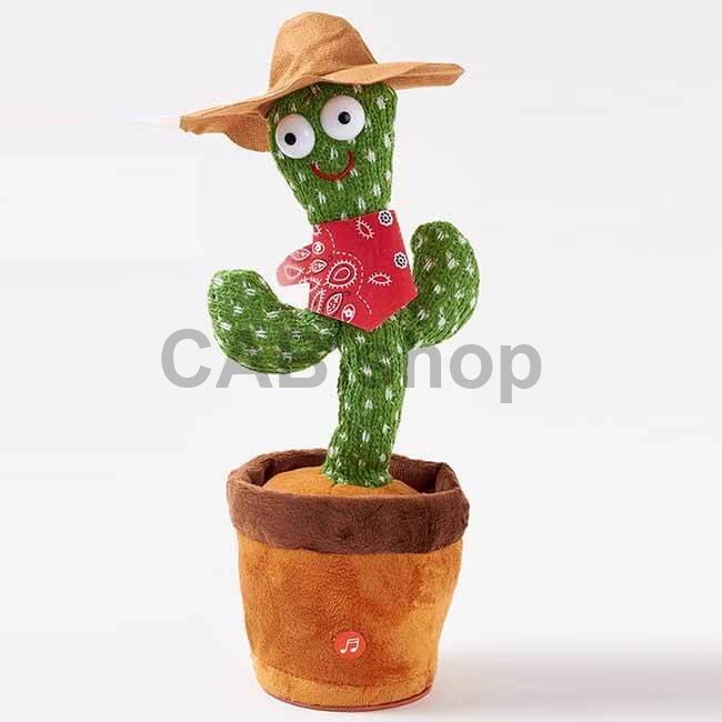 ED-008-11 – spievajuci kaktus mexico 5