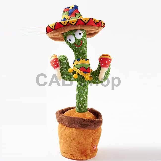 ED-008 &#8211; 1 spievajuci kaktus mexico