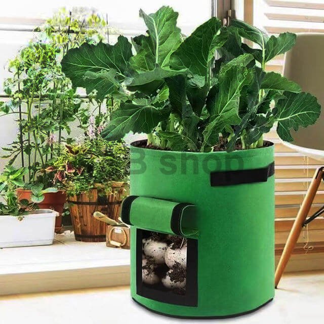 Rourke 37,8 literes filctartály zöldségtermesztéshez - bézs