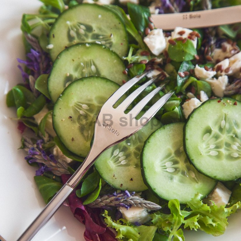 SOLA Avantgarde - 24-delni set jedilnega pribora