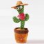 ED-008-11 – spievajuci kaktus mexico 5